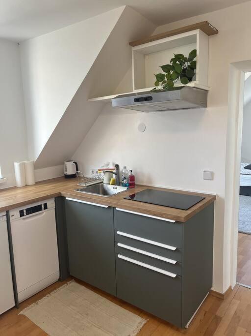 Cozy City Center Apartment Грац Экстерьер фото